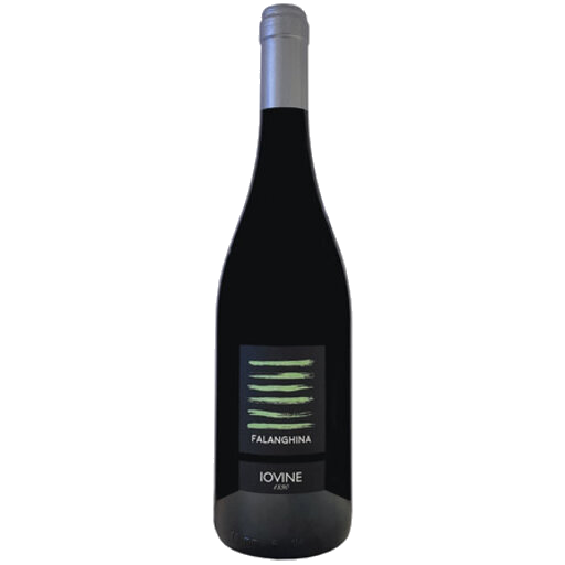 Iovine 2023 Falanghina 750ml