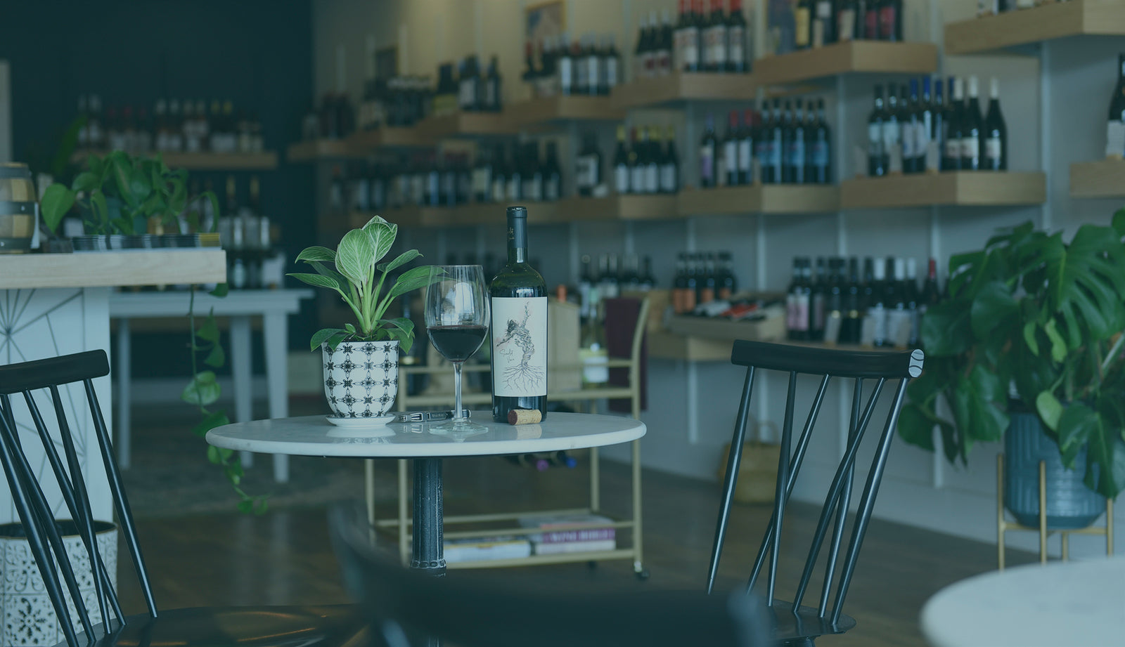 Private Wine Class - June 26th (tickets per person)