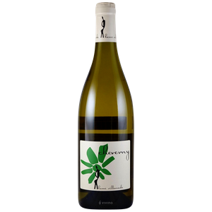 Villemade 2020 Cheverny 750ml