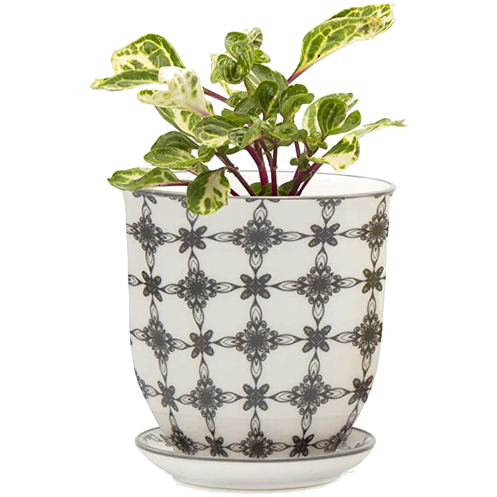 Big Liberte 4.5" Pot & Saucer